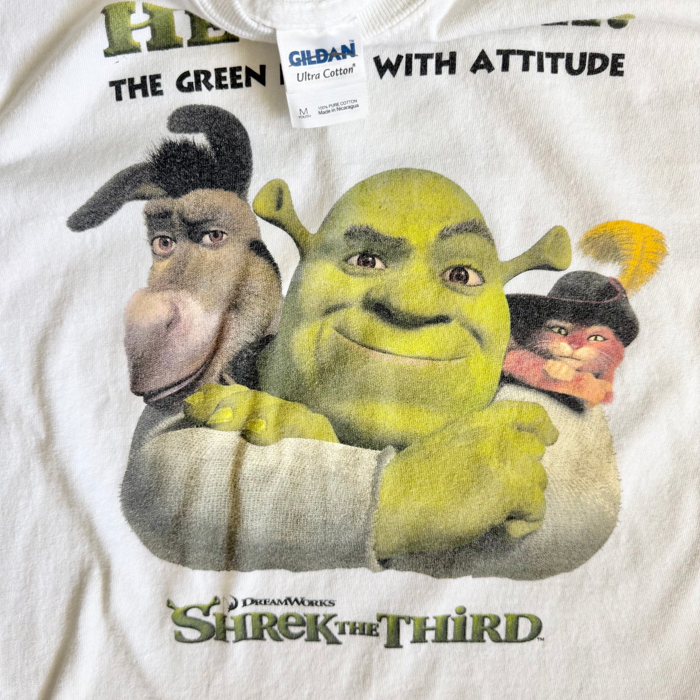 Y2K Shrek (YM)