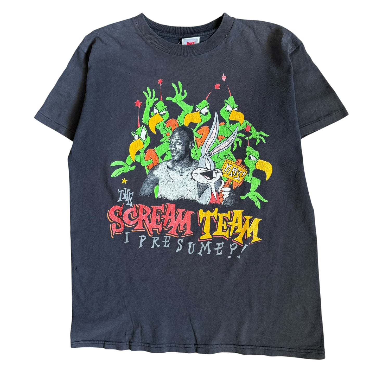 90s Jordan Space Jam (M)