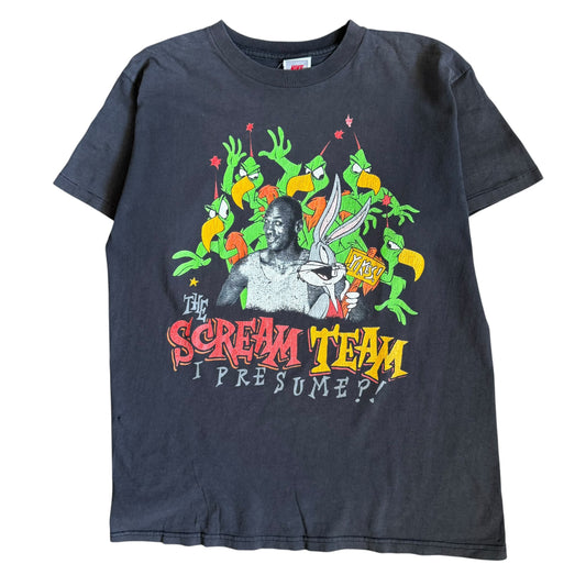 90s Jordan Space Jam (M)