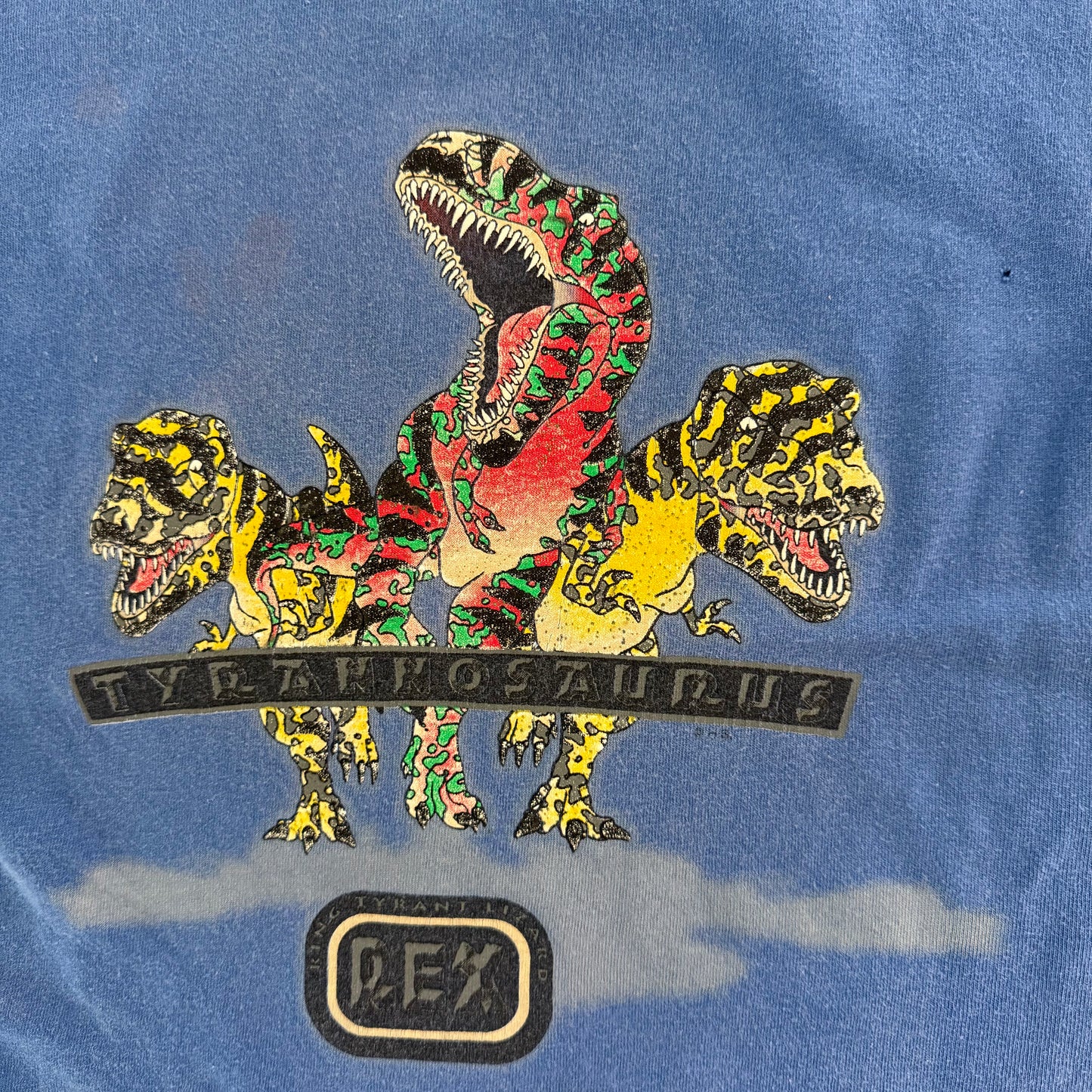 90s Dinosaur (YM)