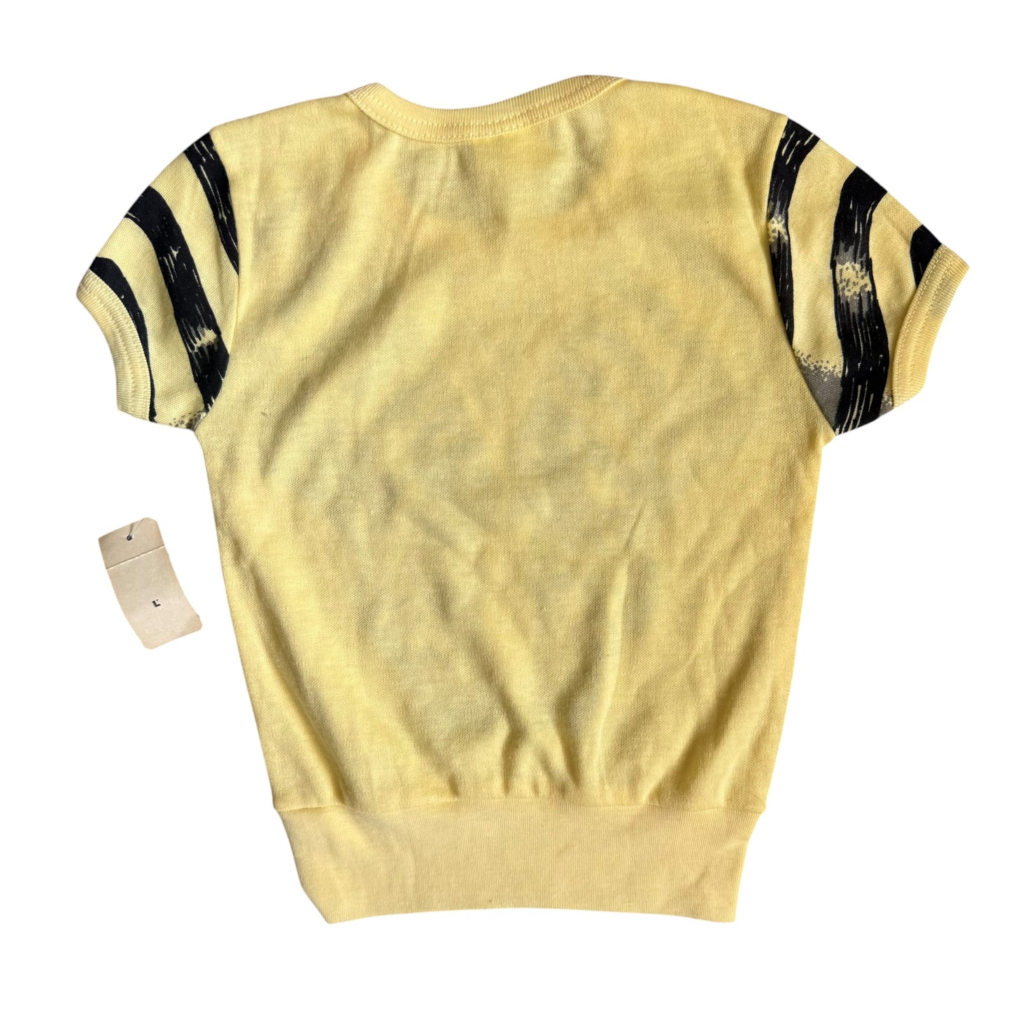80s Zebra (6)