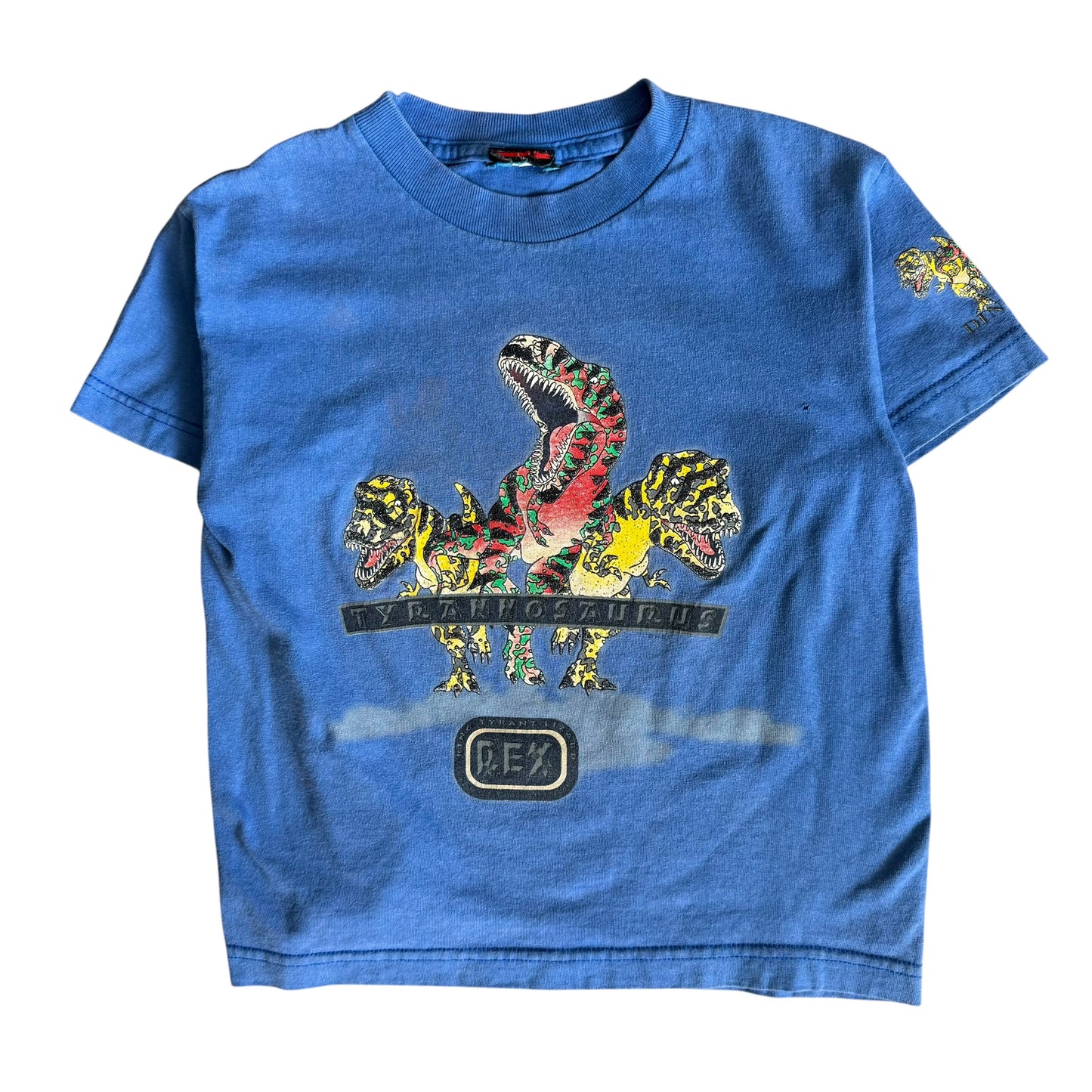 90s Dinosaur (YM)